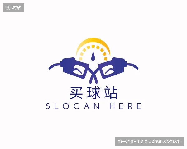 关于买球站官网